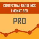 Pro Pack - 300 SEO Blog Backlinks kaufen - DA or PA or DR or UR: 49~20 + Tier 2
